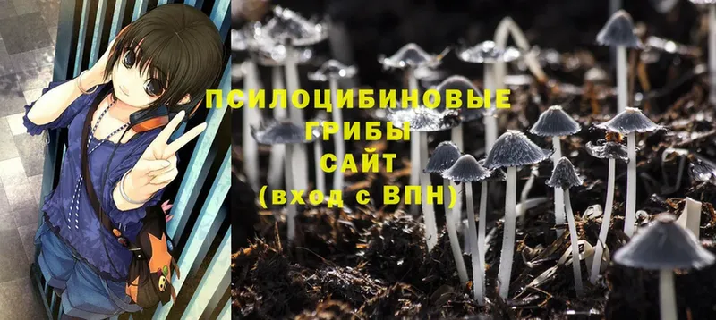 Галлюциногенные грибы Cubensis  ОМГ ОМГ маркетплейс  Фёдоровский 